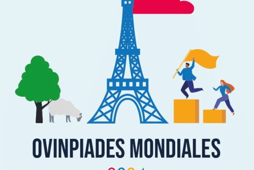 Logo Ovinpiades mondiales 2024