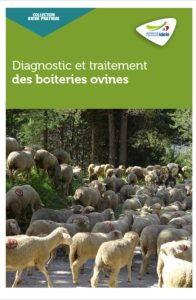 Un guide pratique sur les boiteries