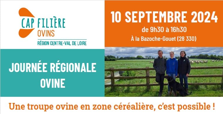Journée régionale ovine Centre Val de Loire 2024