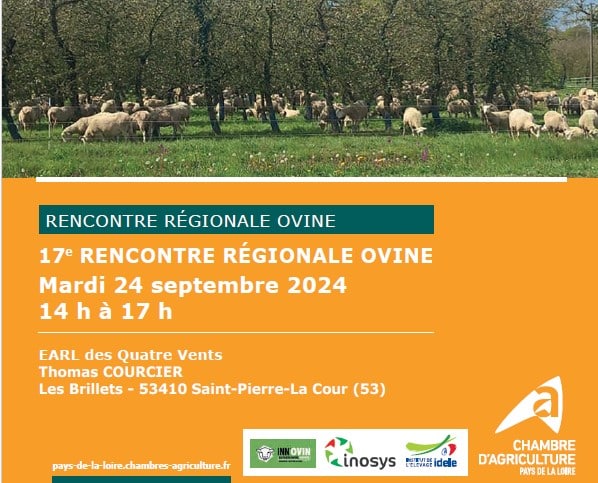 Invitation à la journée régionale ovine Région Pays de Loire 2024